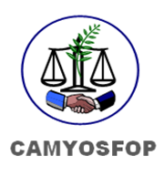 Cameroon Youths & Students Forum for Peace (CAMYOSFOP)