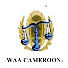 Women in Alternative Action (WAA) Cameroon