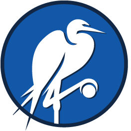 Global Security Institute